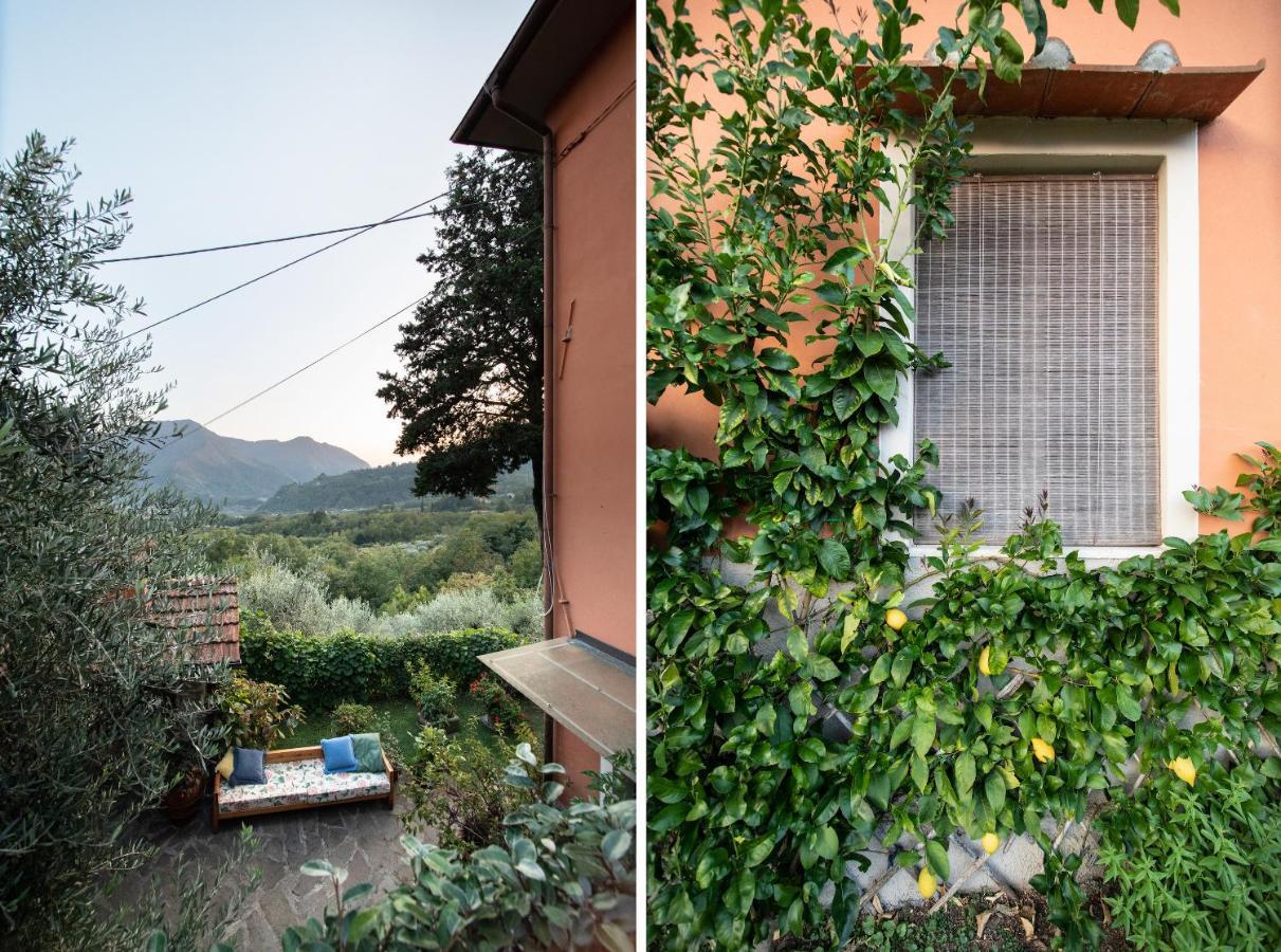 Casetta Di Butia, Appartamento Iris 卢卡 外观 照片
